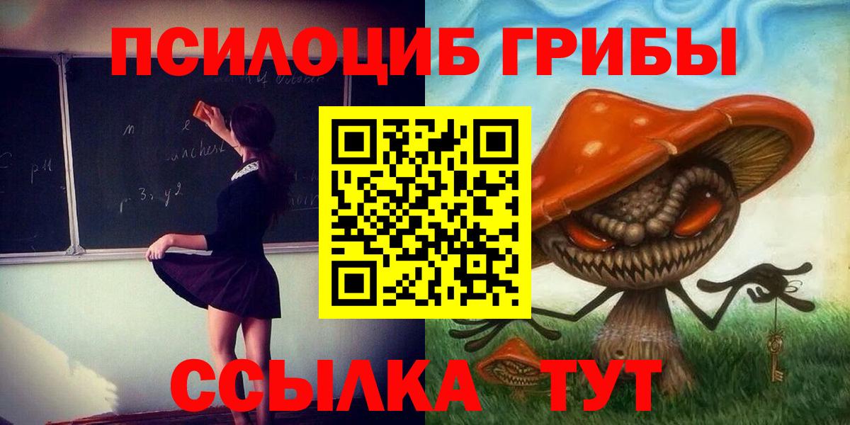 сколько стоит  Вход с VPN  Корсаков  Галлюциногенные грибы прущие грибы 